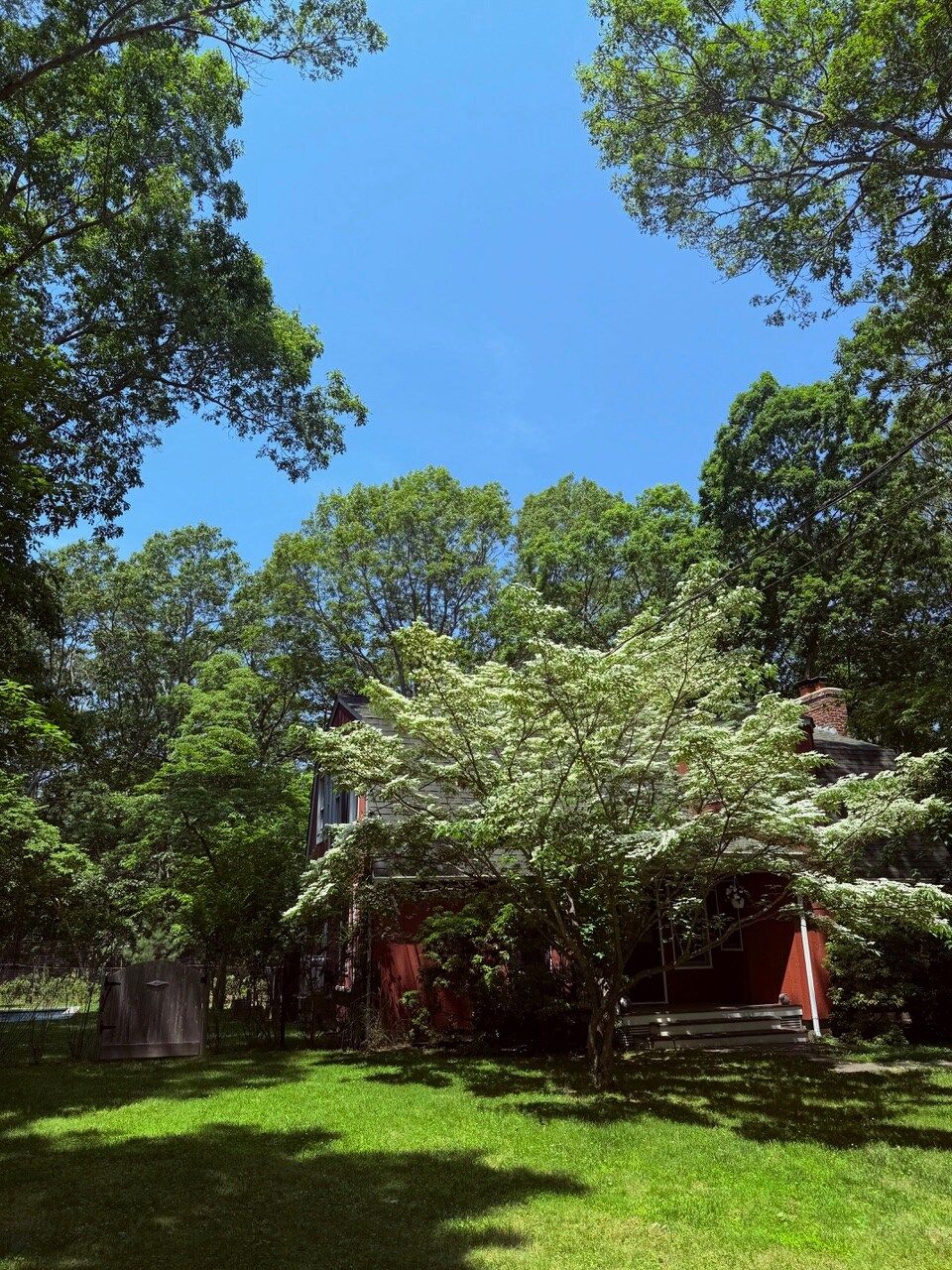 Boulder Villa  | East Hampton | Upscale Home with Private Pool photo 8