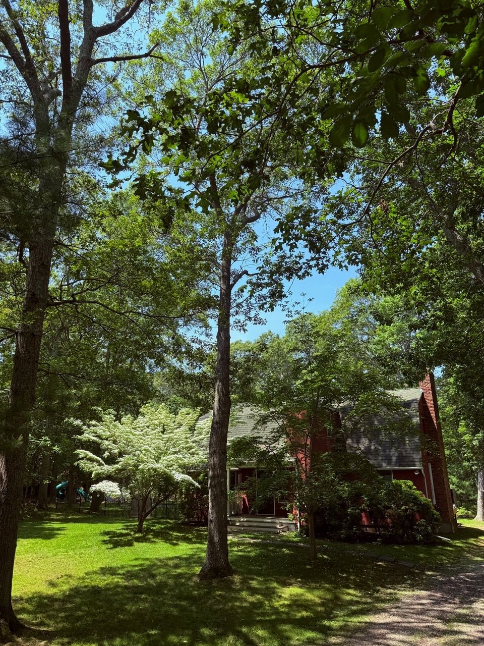 Boulder Villa  | East Hampton | Upscale Home with Private Pool photo 6