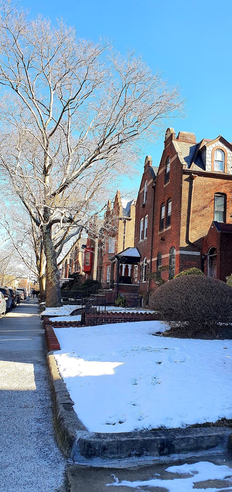 Crown Heights