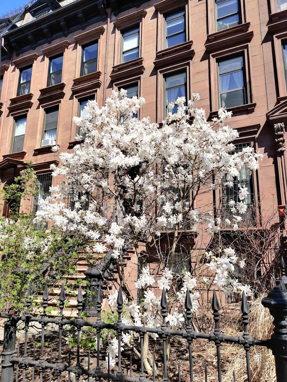 Prospect Heights