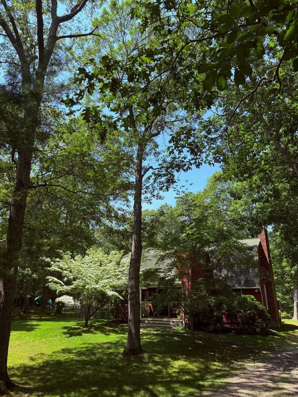 Boulder Villa  | East Hampton | Upscale Home with Private Pool photo 6