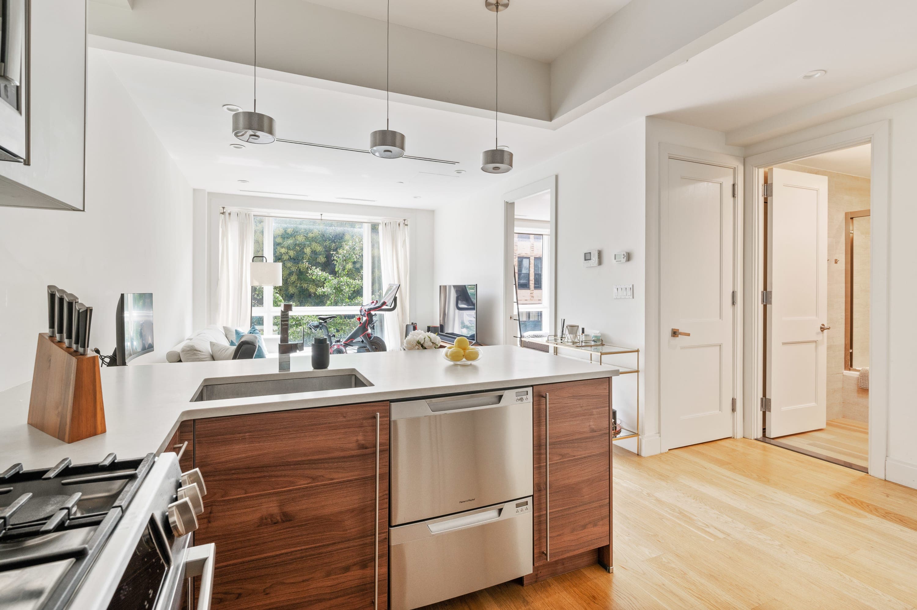 Withers | Williamsburg | Modern Apartment photo 14