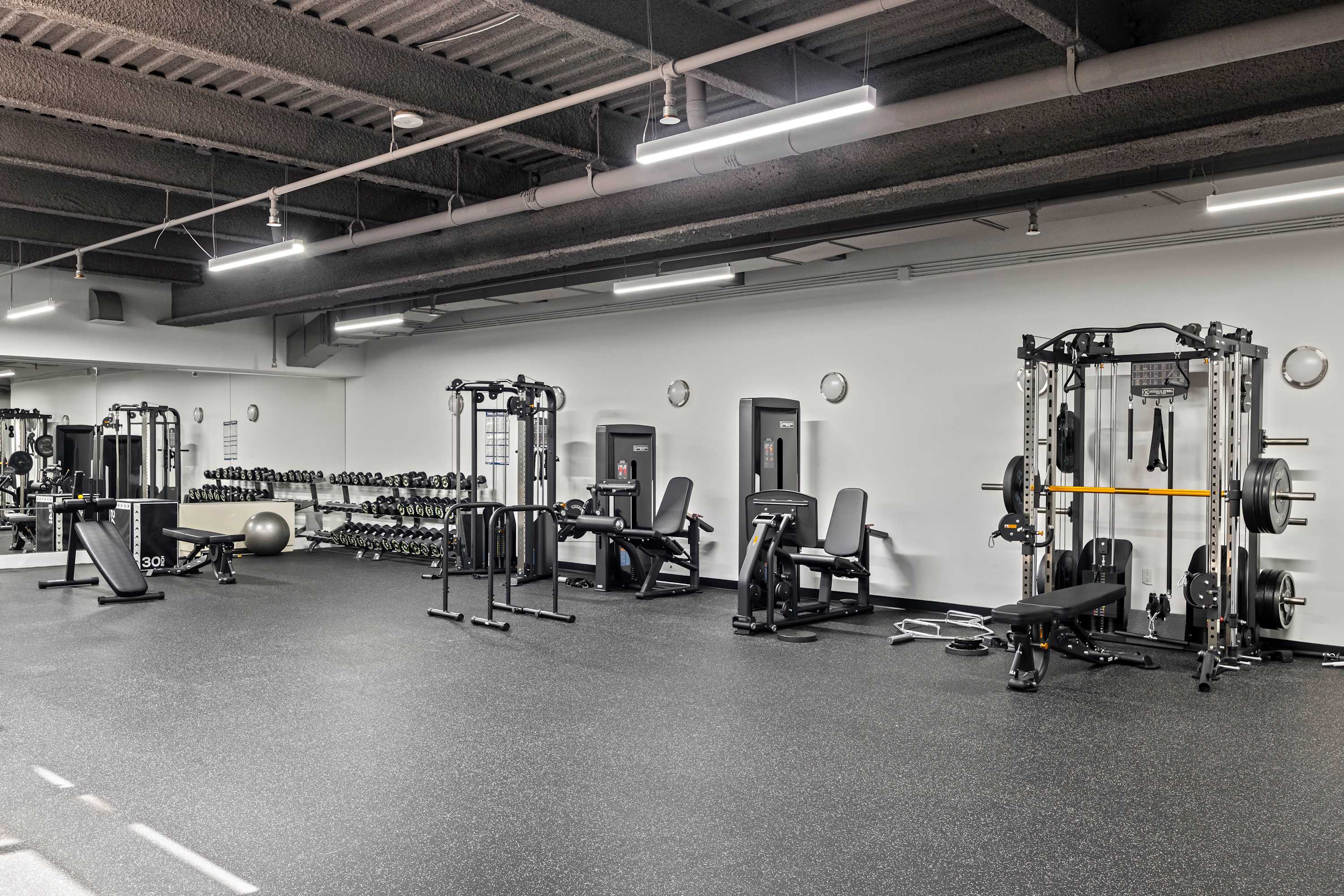 Berry Loft IV | Williamsburg | Loft Apartment w/ Shared Gym and Rooftop photo 25