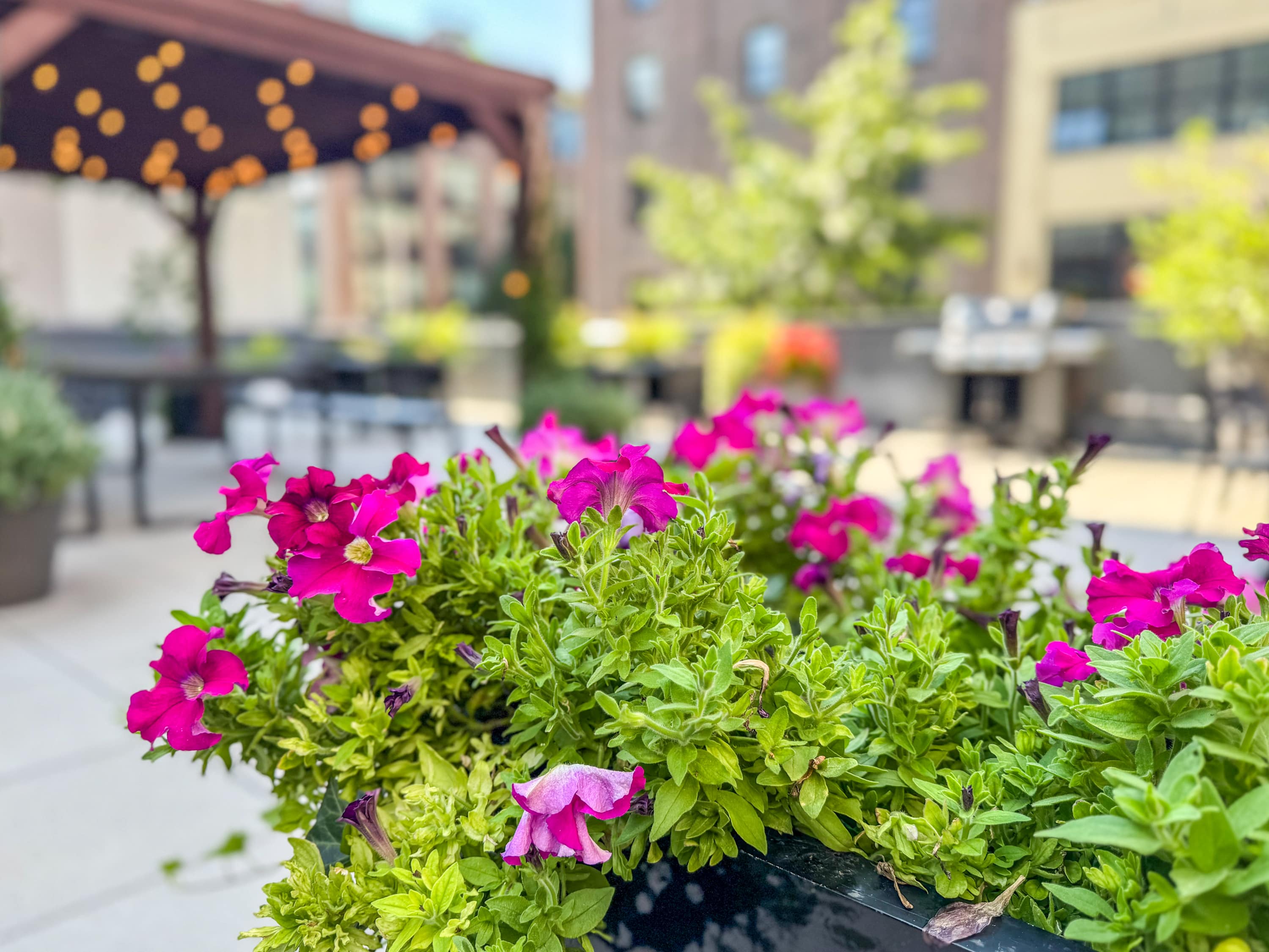 Berry Loft VI | Williamsburg | Top-floor Loft with Private Rooftop Terrace photo 31