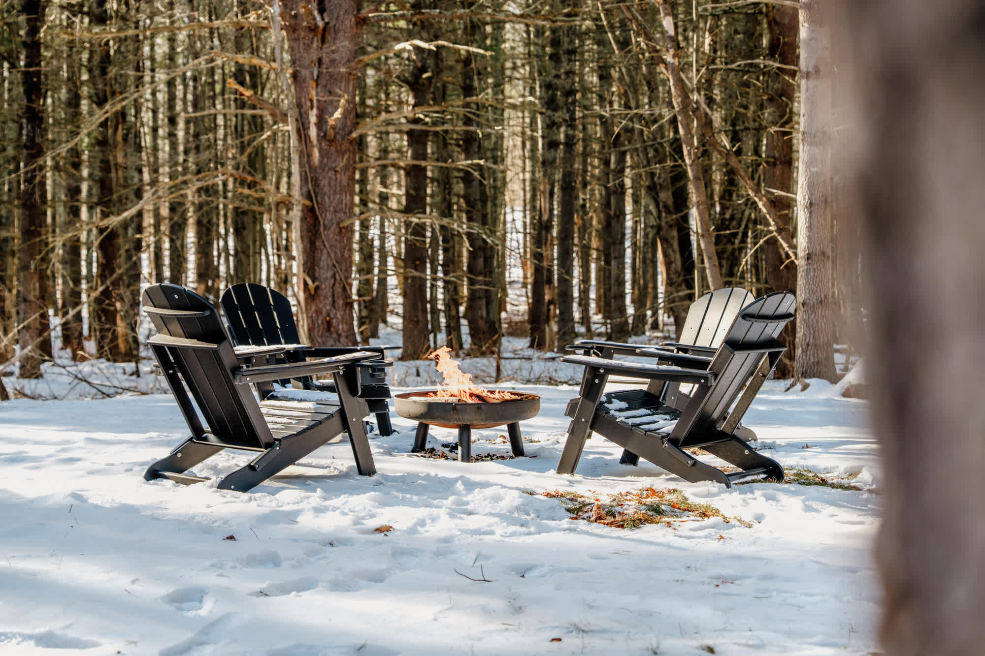 Woodland Oasis | Round Top | Designer Home w/ Fire Pit & Forest Views photo 44
