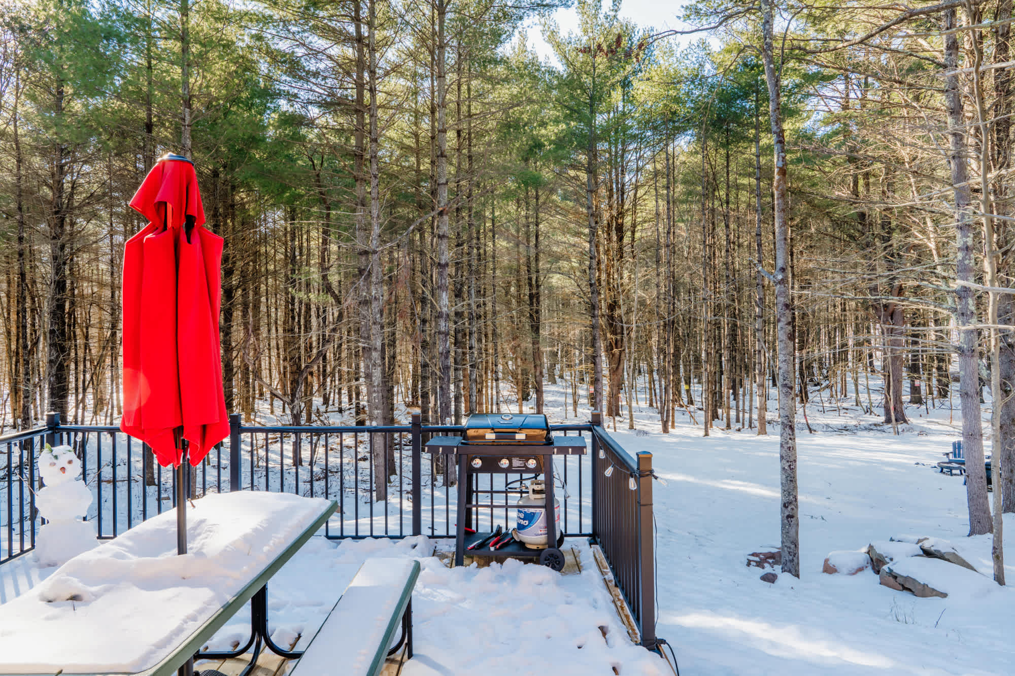 Woodland Oasis | Round Top | Designer Home w/ Fire Pit & Forest Views photo 45