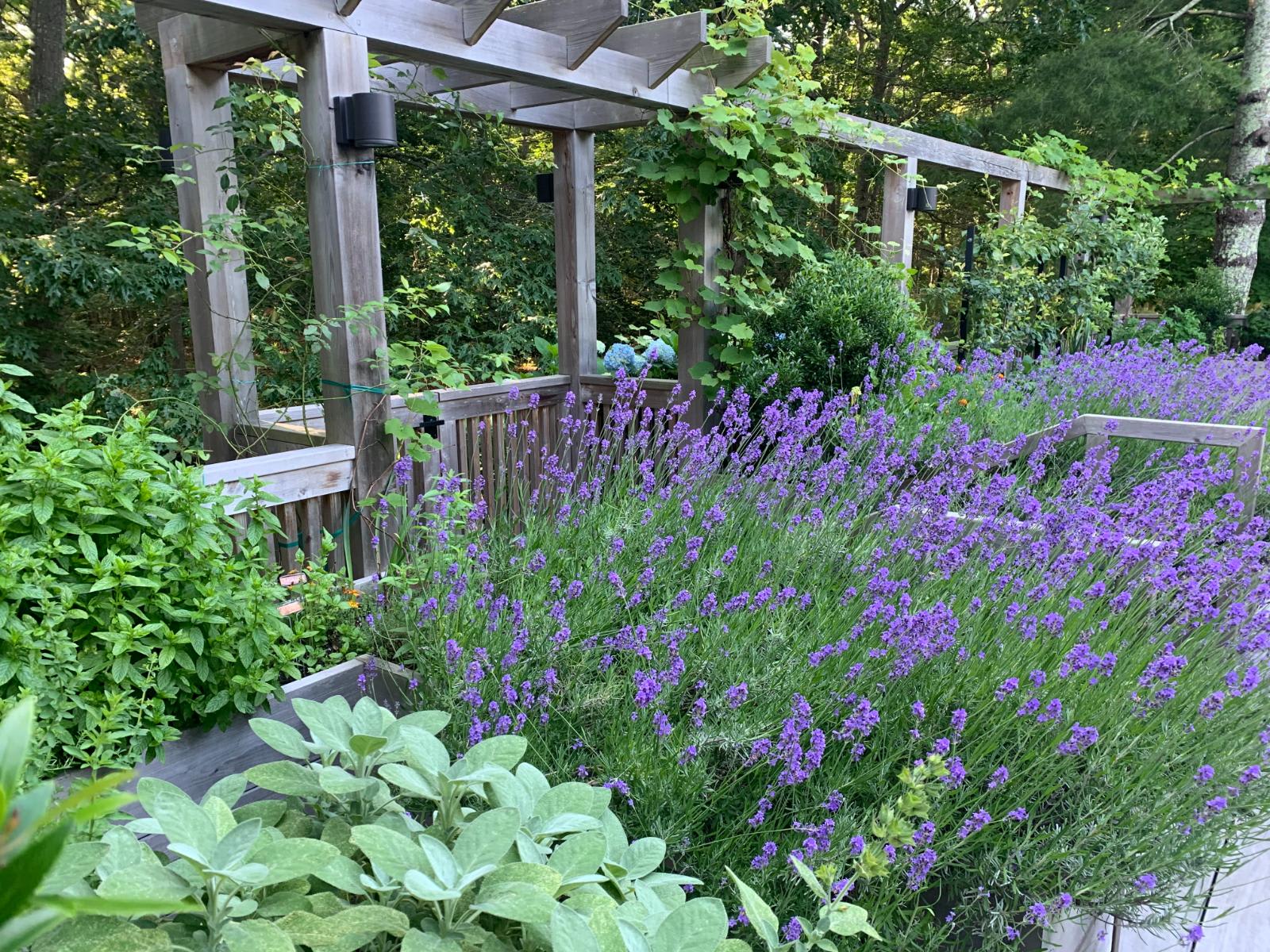 Narrow Lane Estate | Bridgehampton | Luxe Hamptons Estate w/ Pool & Grounds photo 18