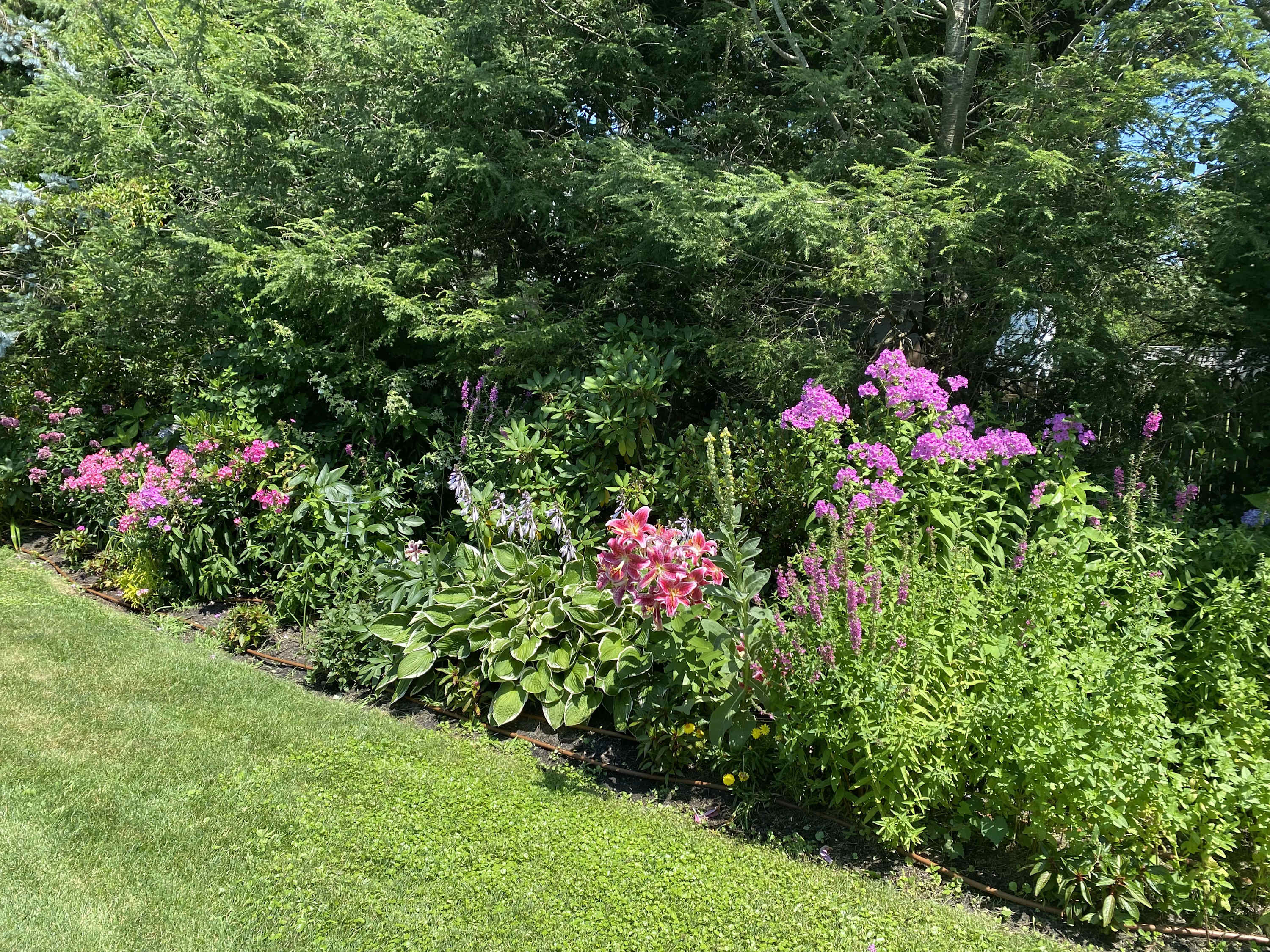 Willow Manor | Southampton | Luxe Home with Pool and Gym photo 30