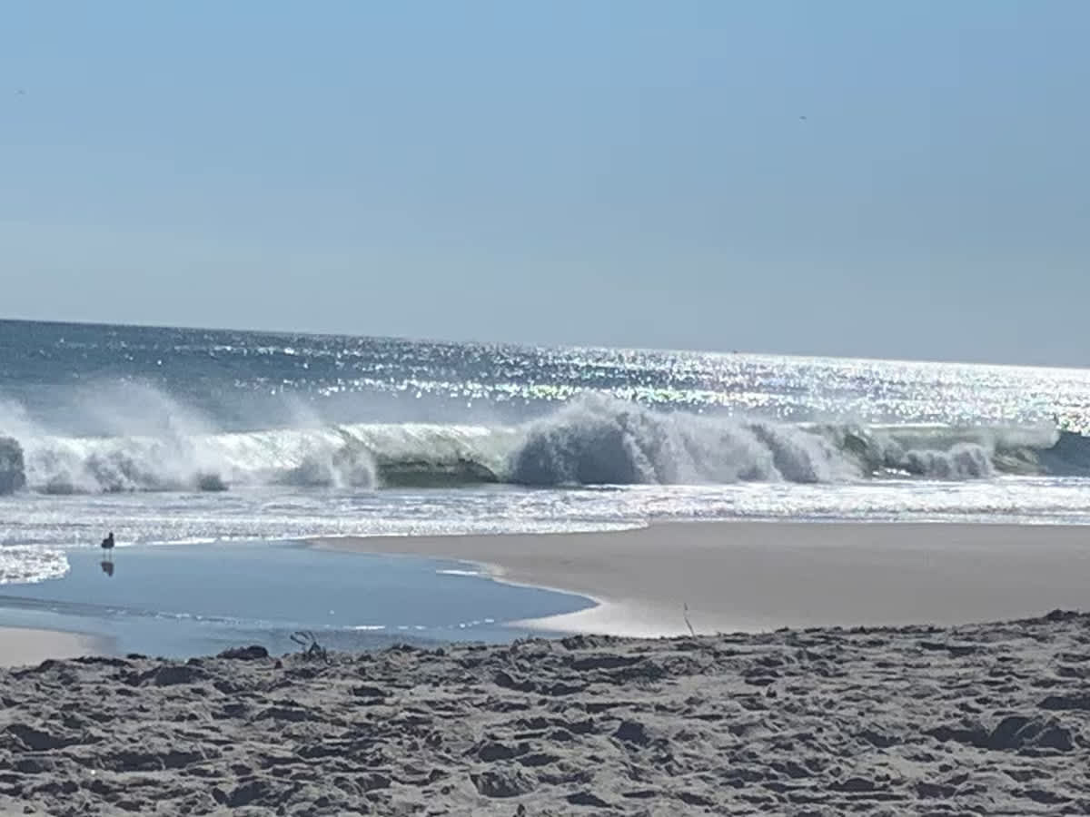 Hampton Seagrass | East Quogue | Summer Beach House with Pool photo 28
