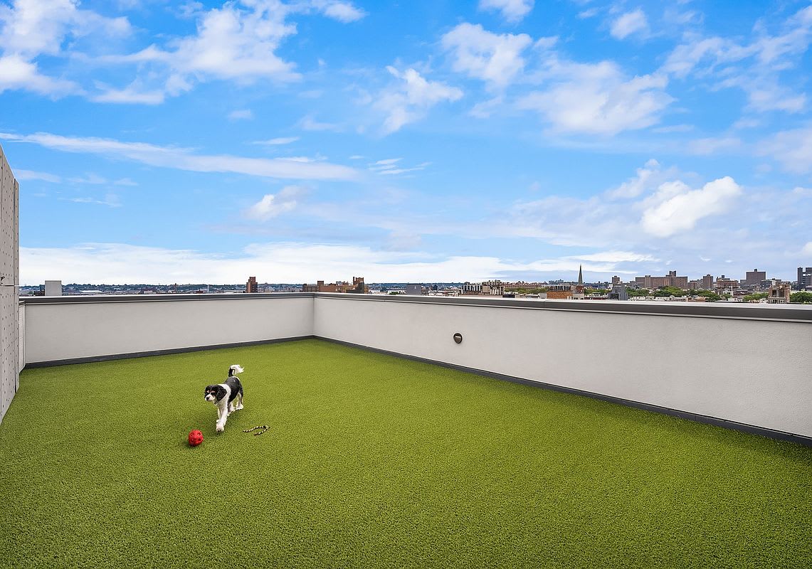 Metropolitan Suite | Williamsburg | Penthouse w/ Private Balcony & Gym photo 13