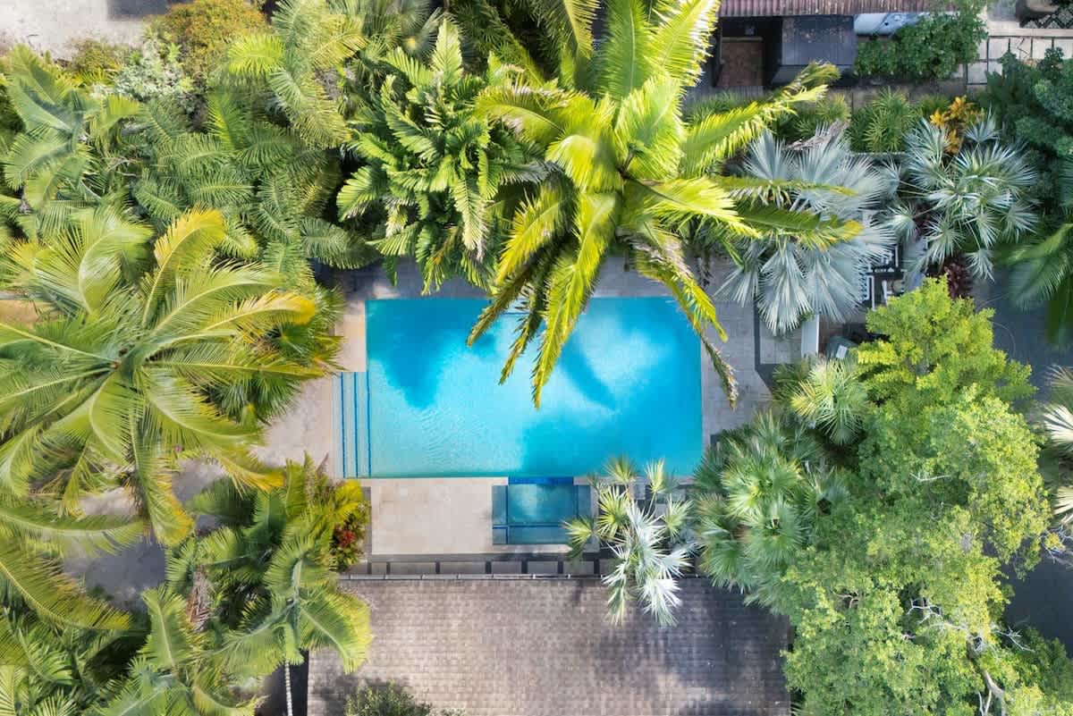 Tropical Oasis | Biscayne | Estate w/ Private Pool & BBQ Grill photo 3
