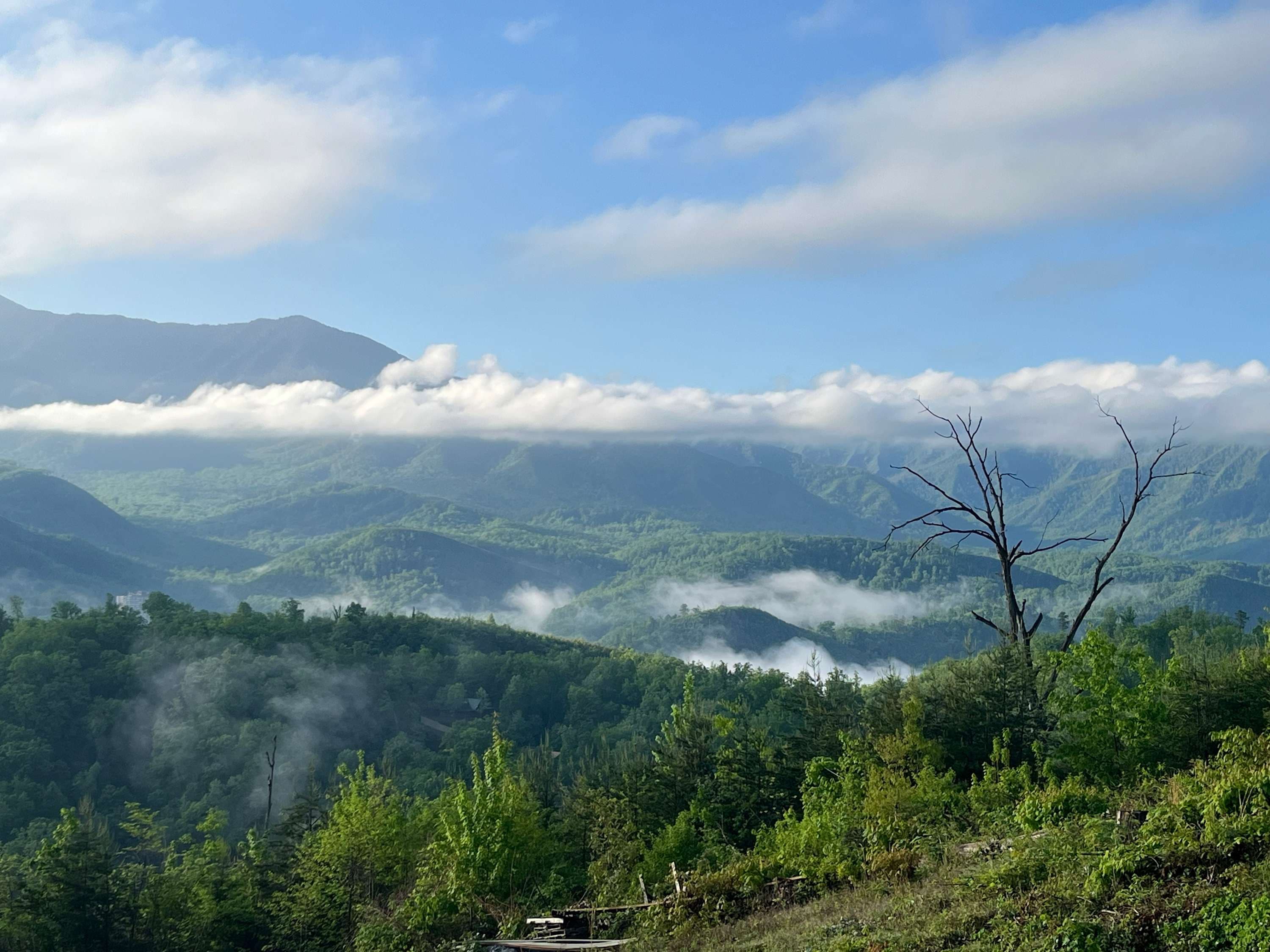 Highcrest Vista | Gatlinburg | Luxury Mountain Retreat with Panoramic Views photo 18
