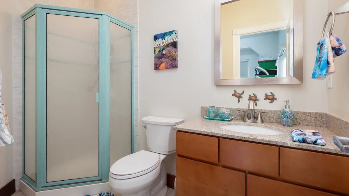 House of Singing Whales | Hawaii | Oceanfront Luxury with Pool & Spa photo 41