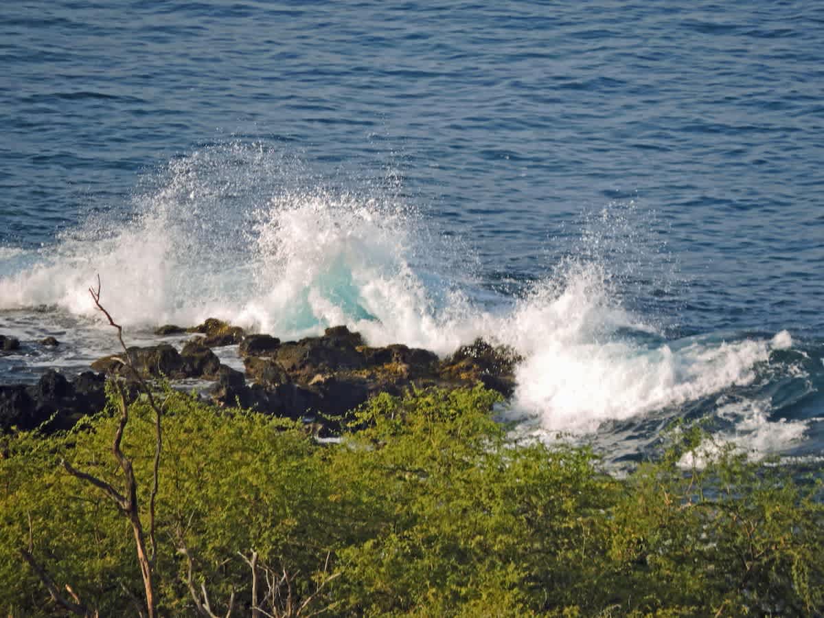 House of Singing Whales | Hawaii | Oceanfront Luxury with Pool & Spa photo 46