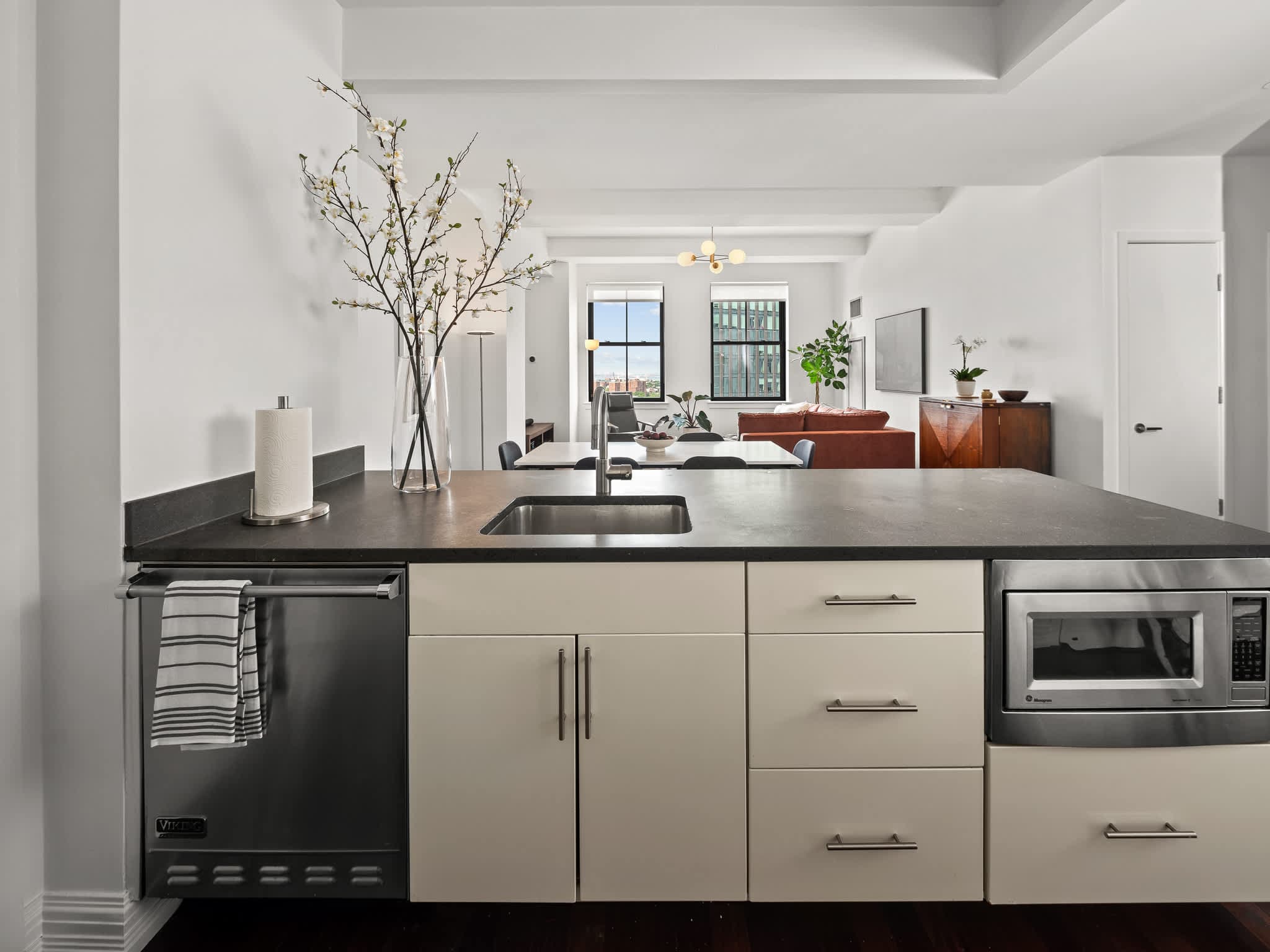 Hanson Place | Fort Greene | Condo with City Views & Shared Amenities photo 10