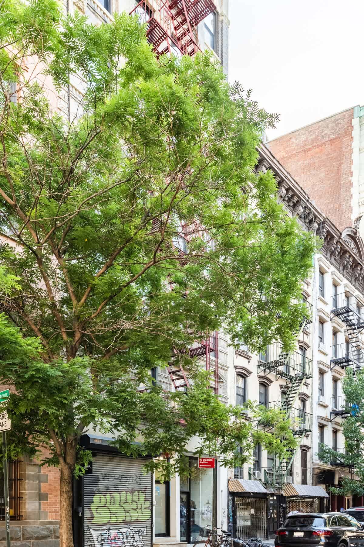 Spring House II | Nolita | Cozy Apartment w/ Private Garden photo 34