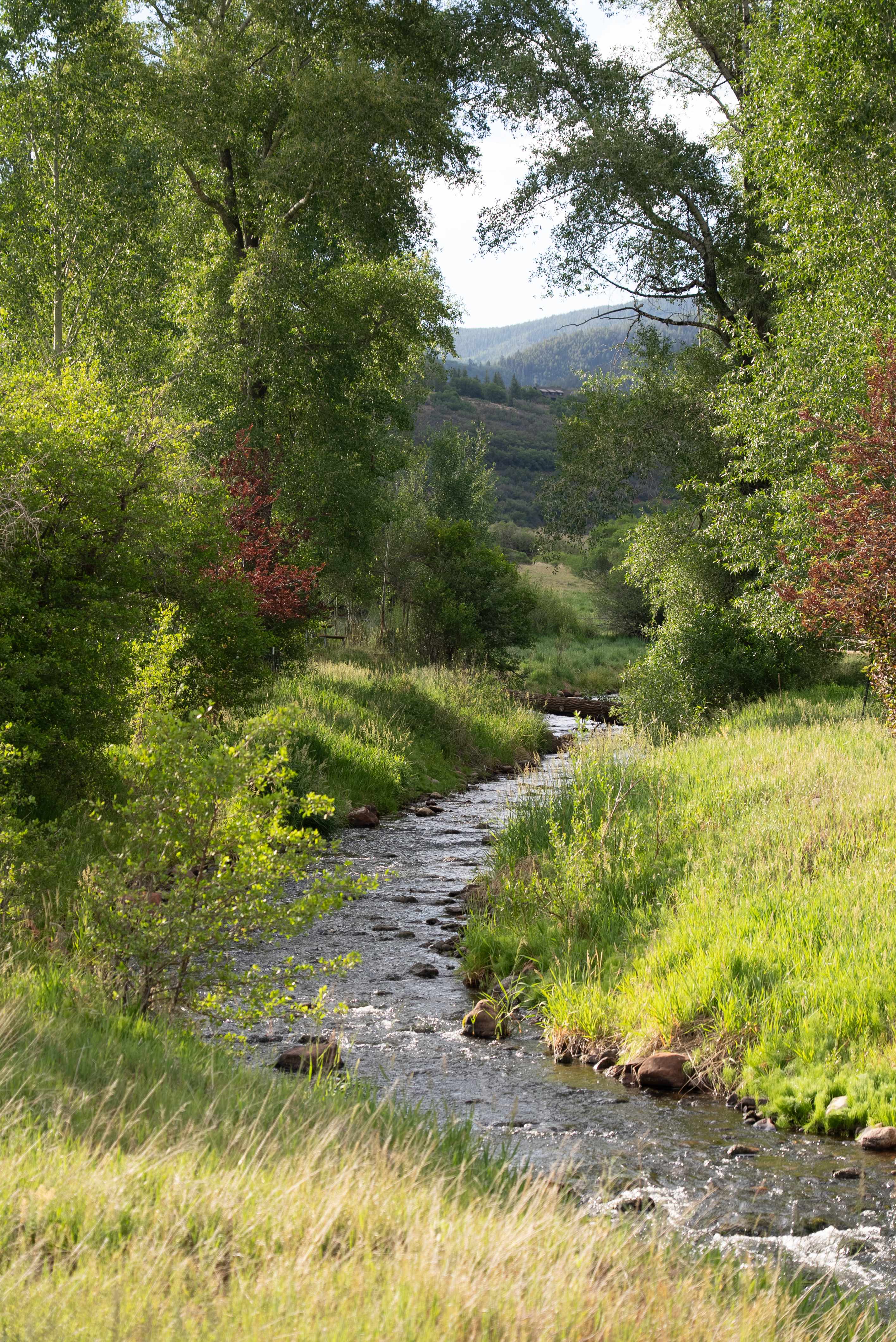 Silver Pines | Snowmass | Private Home with Mountain Views & Deck photo 16