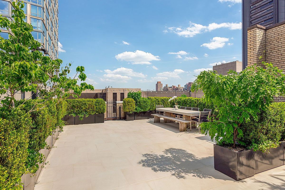 Carnegie Penthouse | Upper Carnegie Hill | Duplex PH with Private Roof & Views photo 6