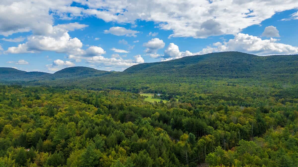 Europe in The Catskills | East Jewett | Mountain Home with Outdoor Space photo 86