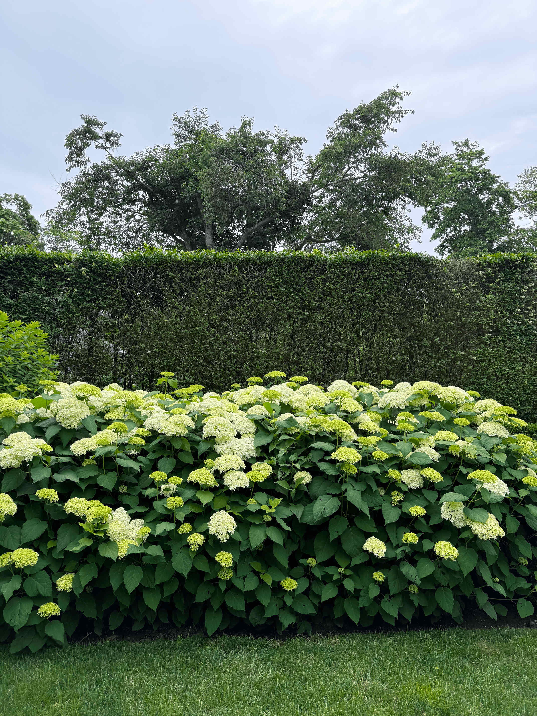 Hidden Grove | East Hampton | Garden Retreat with Pool photo 57