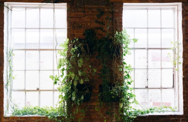 Image of Living space #12