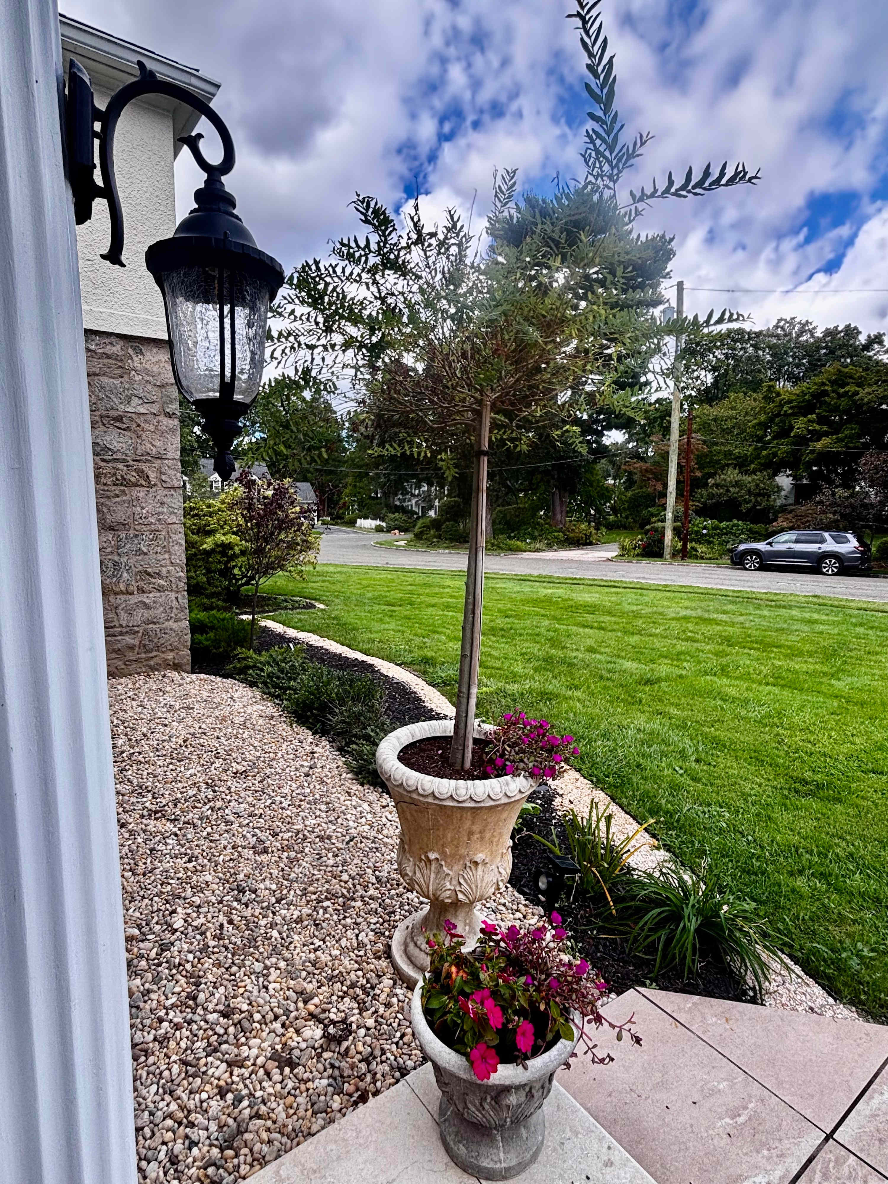 Forest Residence | Forest Heights | Elegant Home with Garden and Patio photo 3