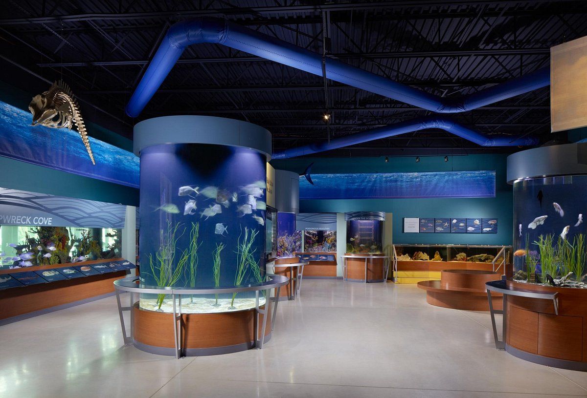 South Florida Science Center and Aquarium
