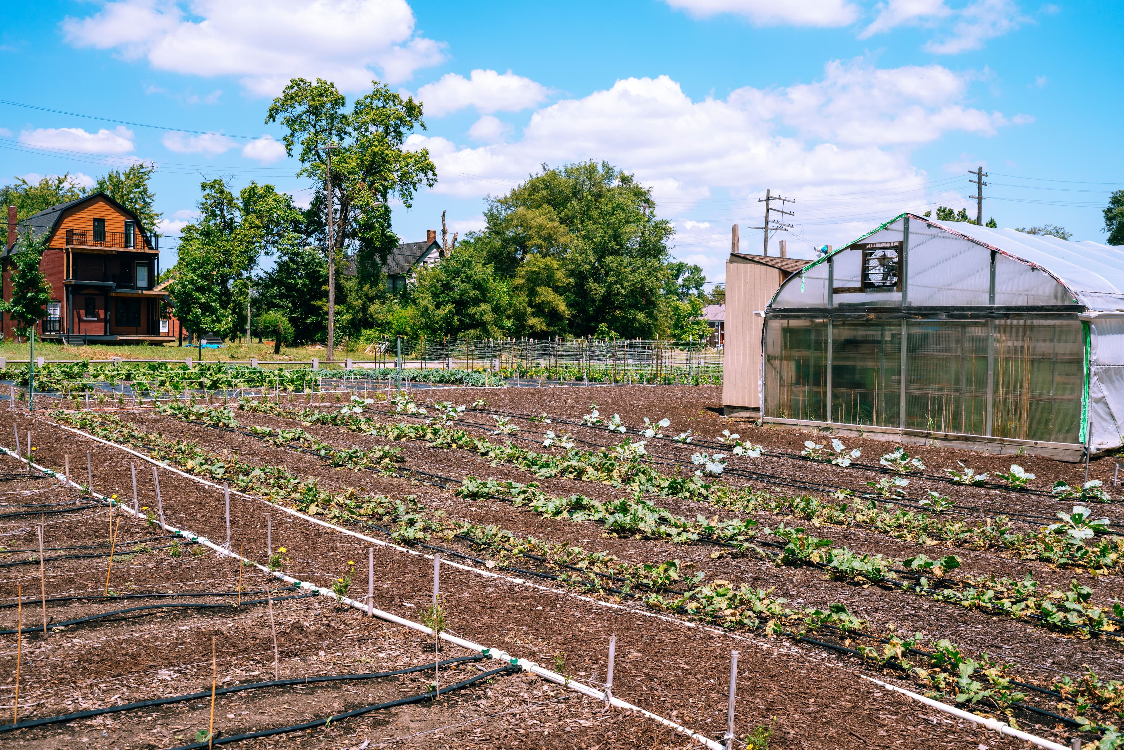 Two Roots Farm