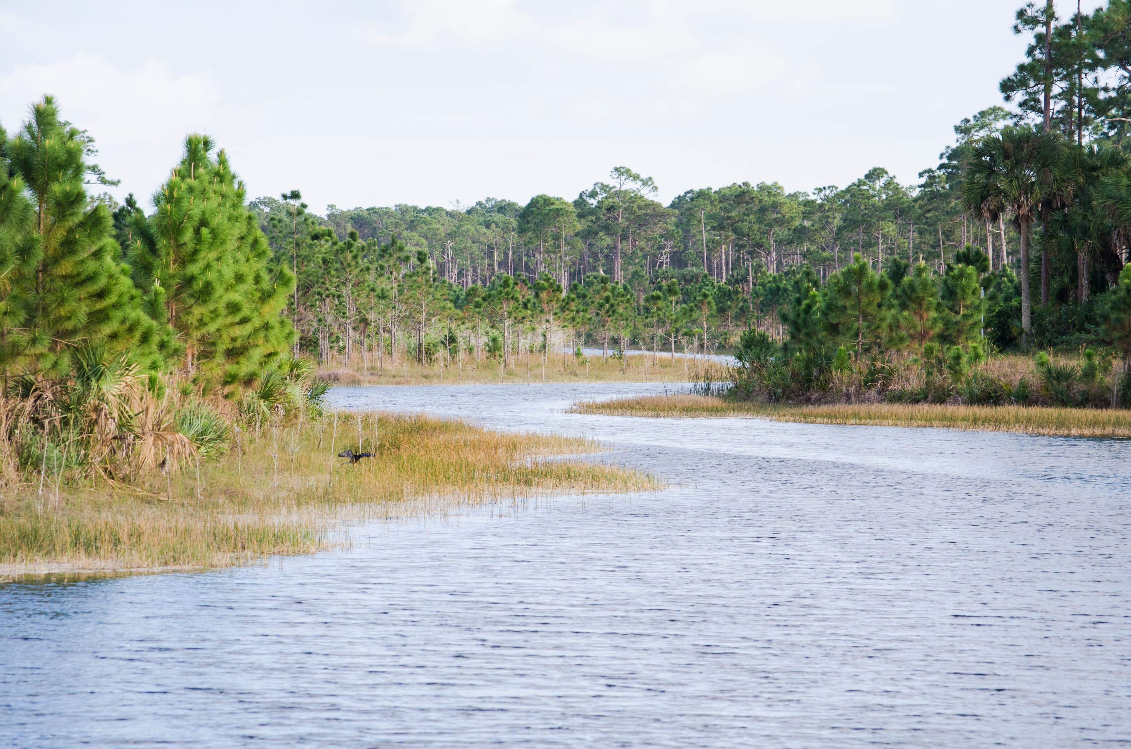Okeeheelee Park