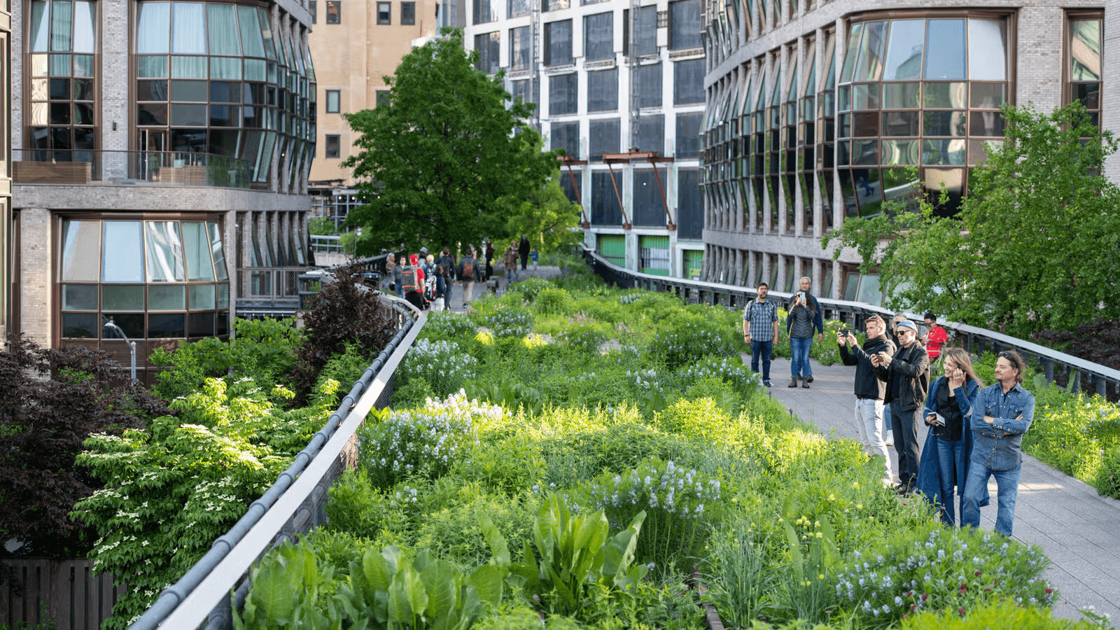 The High Line