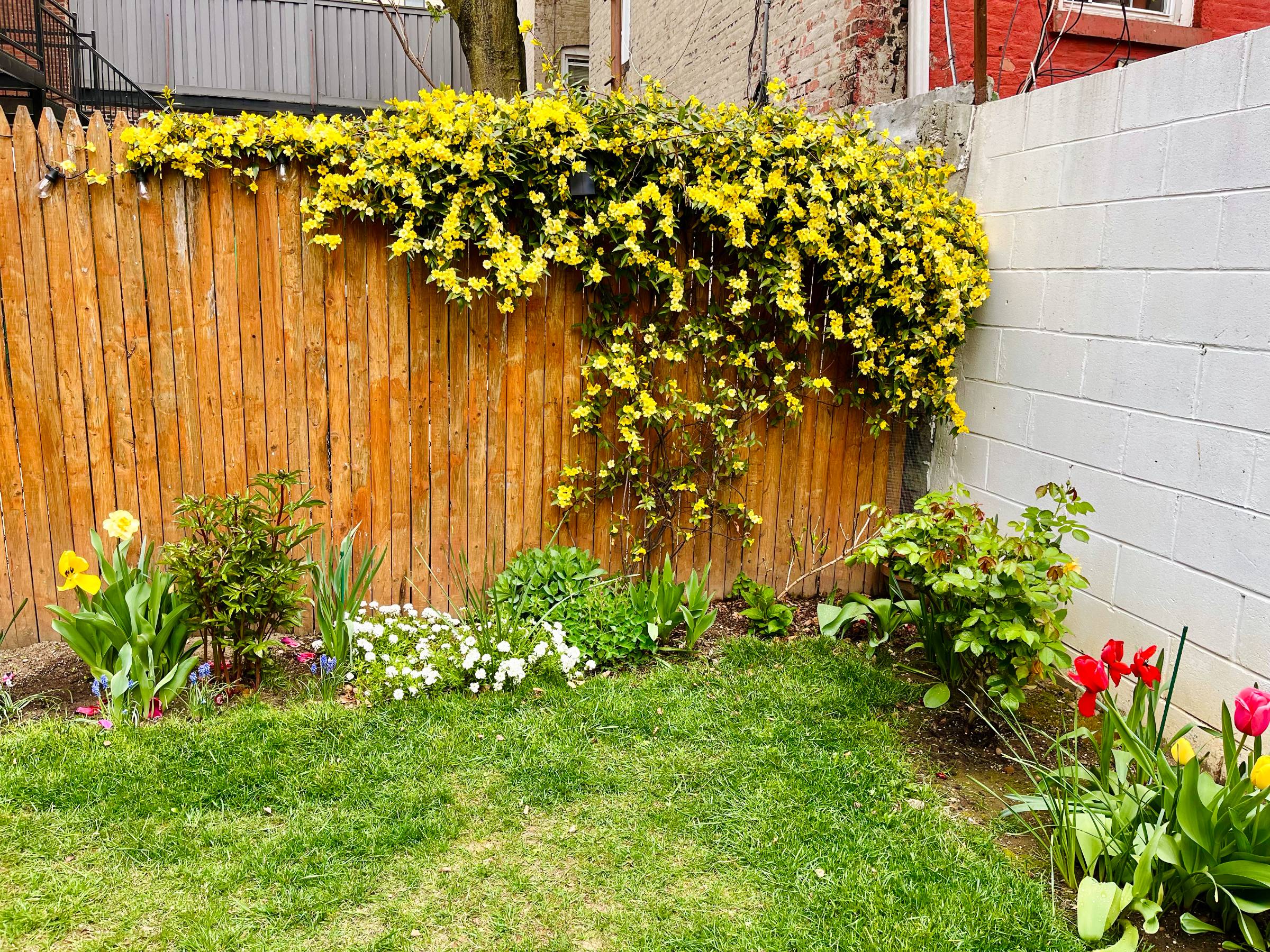 Saratoga Place I | Bed-Stuy | Apartment with Private Patio photo 23