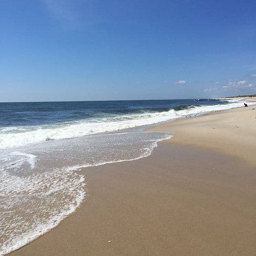 Rogers Beach