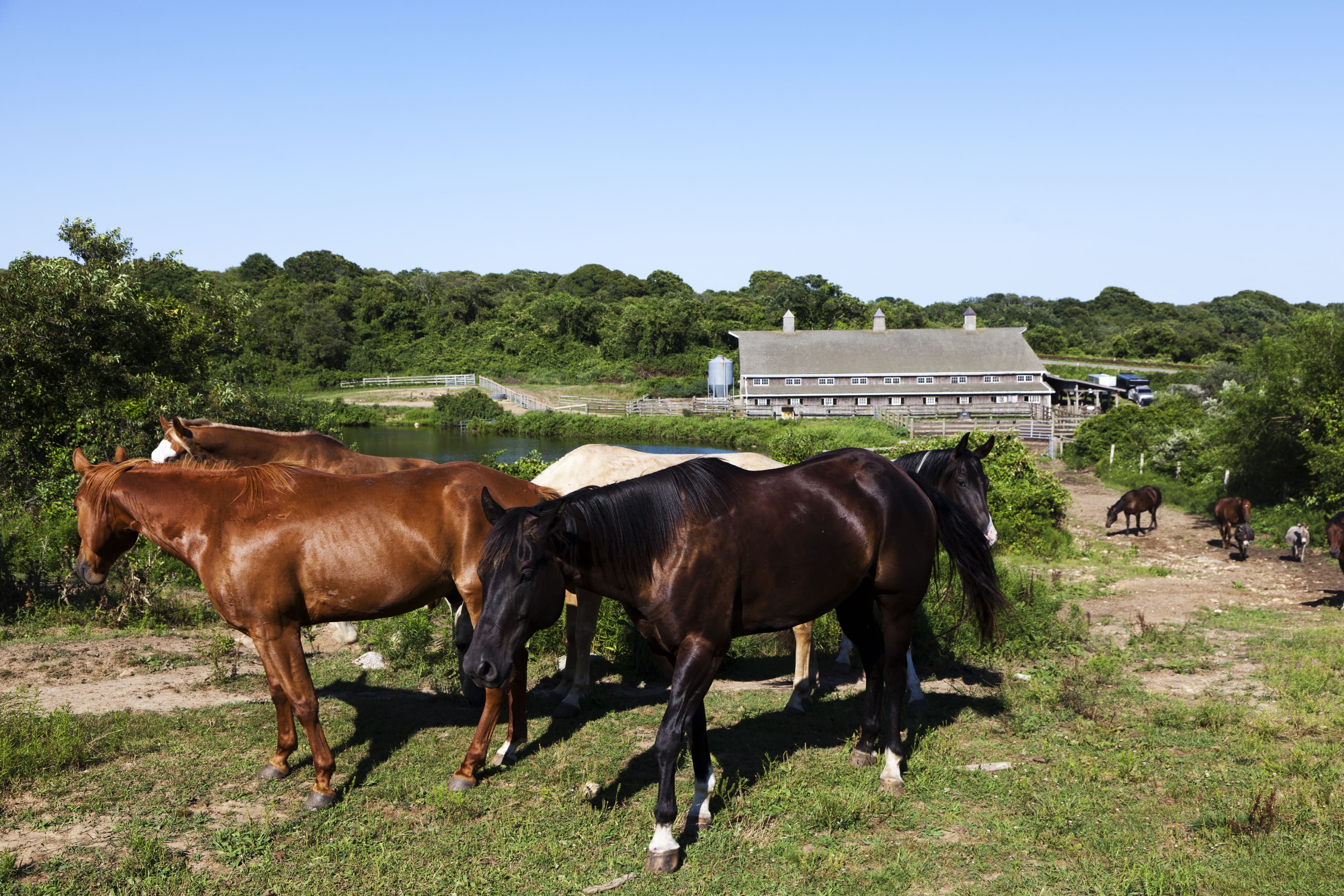 Deep Hollow Ranch