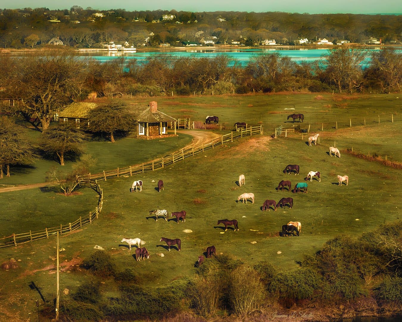 Deep Hollow Ranch