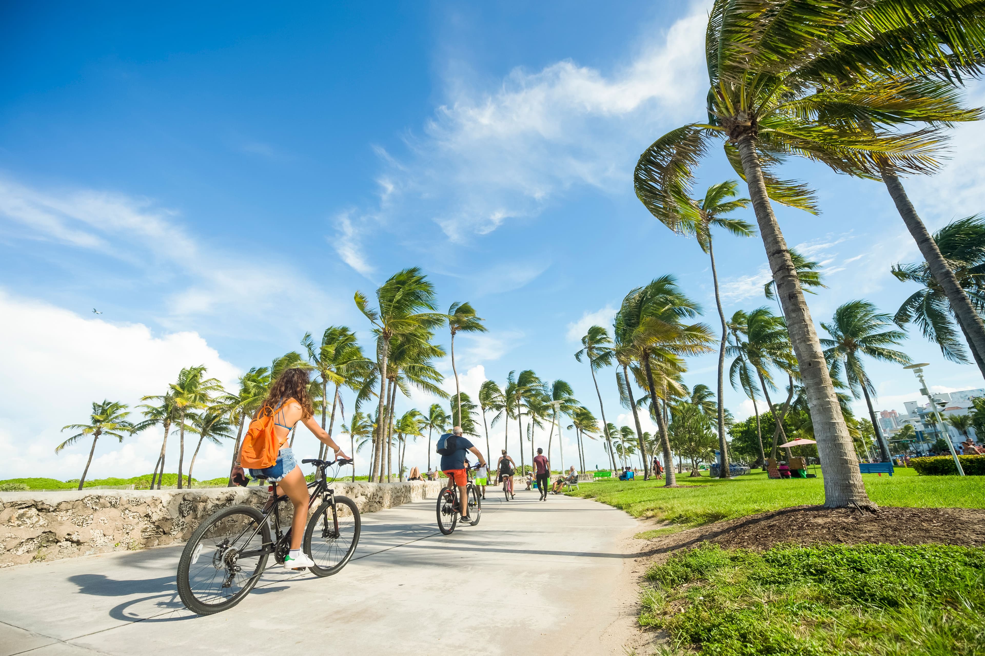 Top Must-Do Activity in Miami