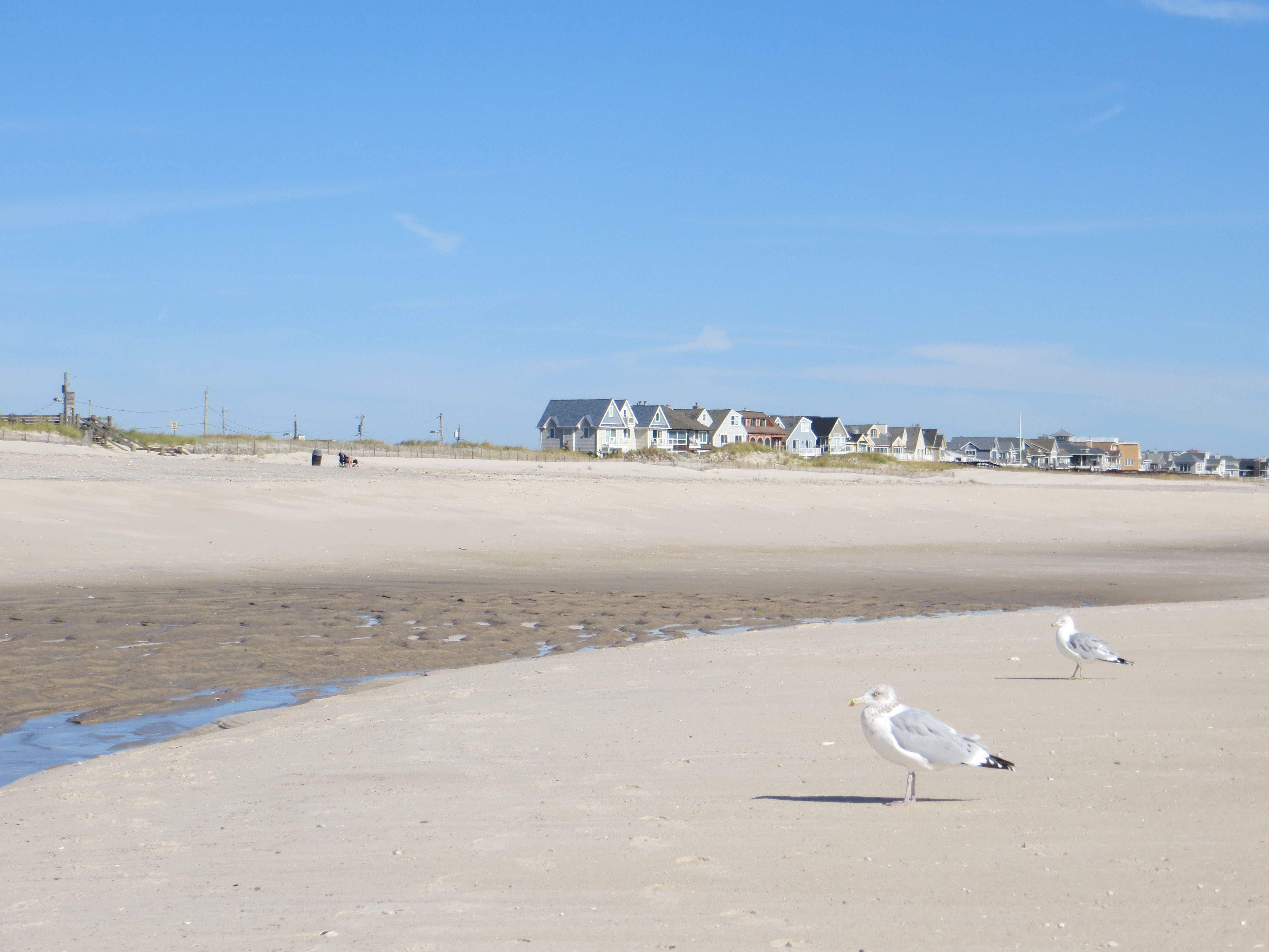 Cupsogue Beach County Park