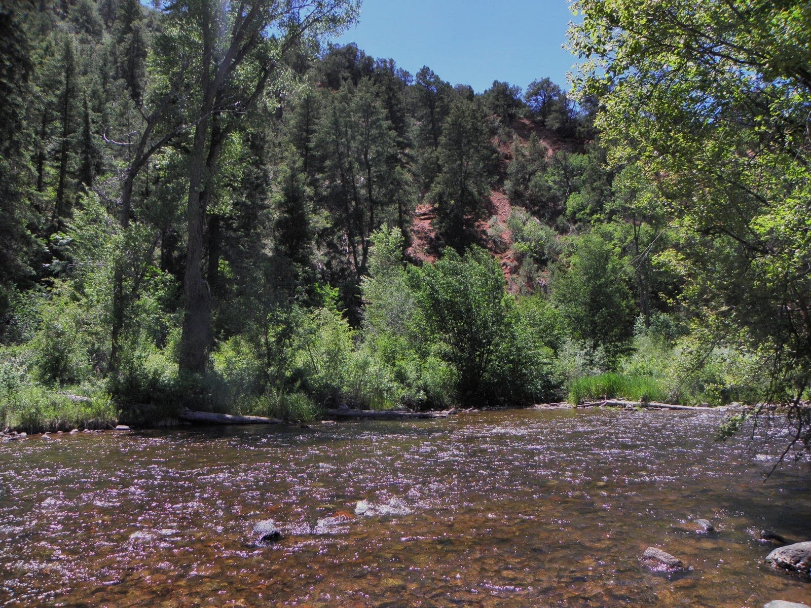 Fryingpan River Campground