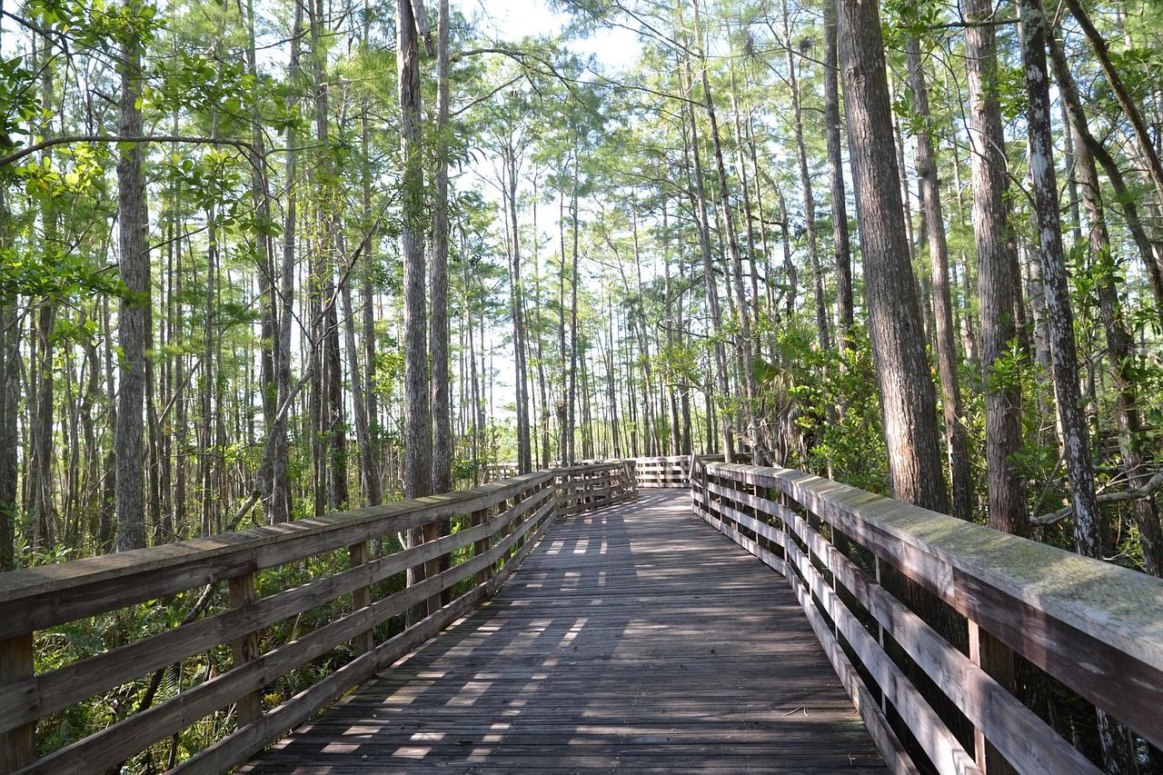 Grassy Waters Preserve