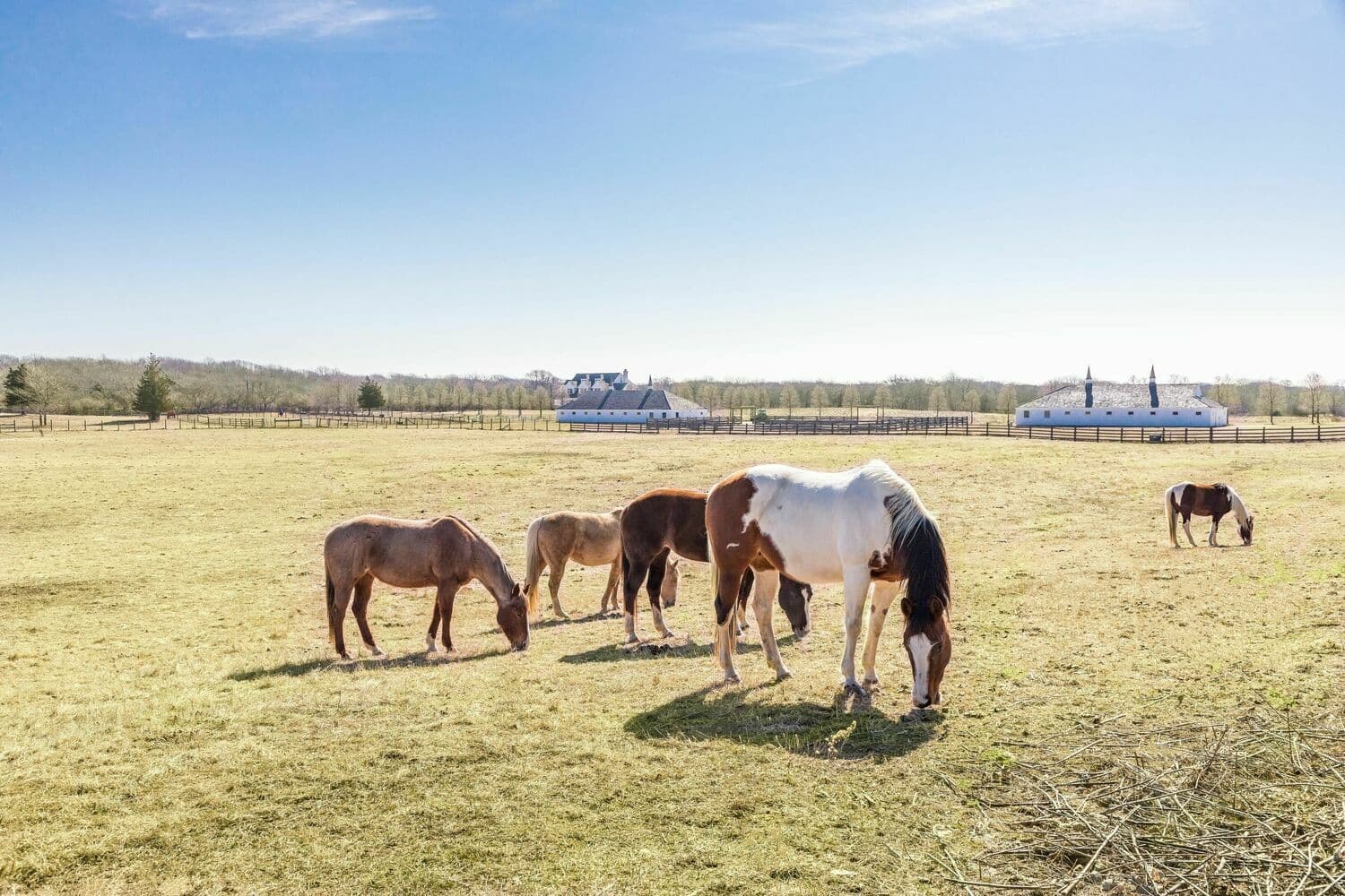 Deep Hollow Ranch