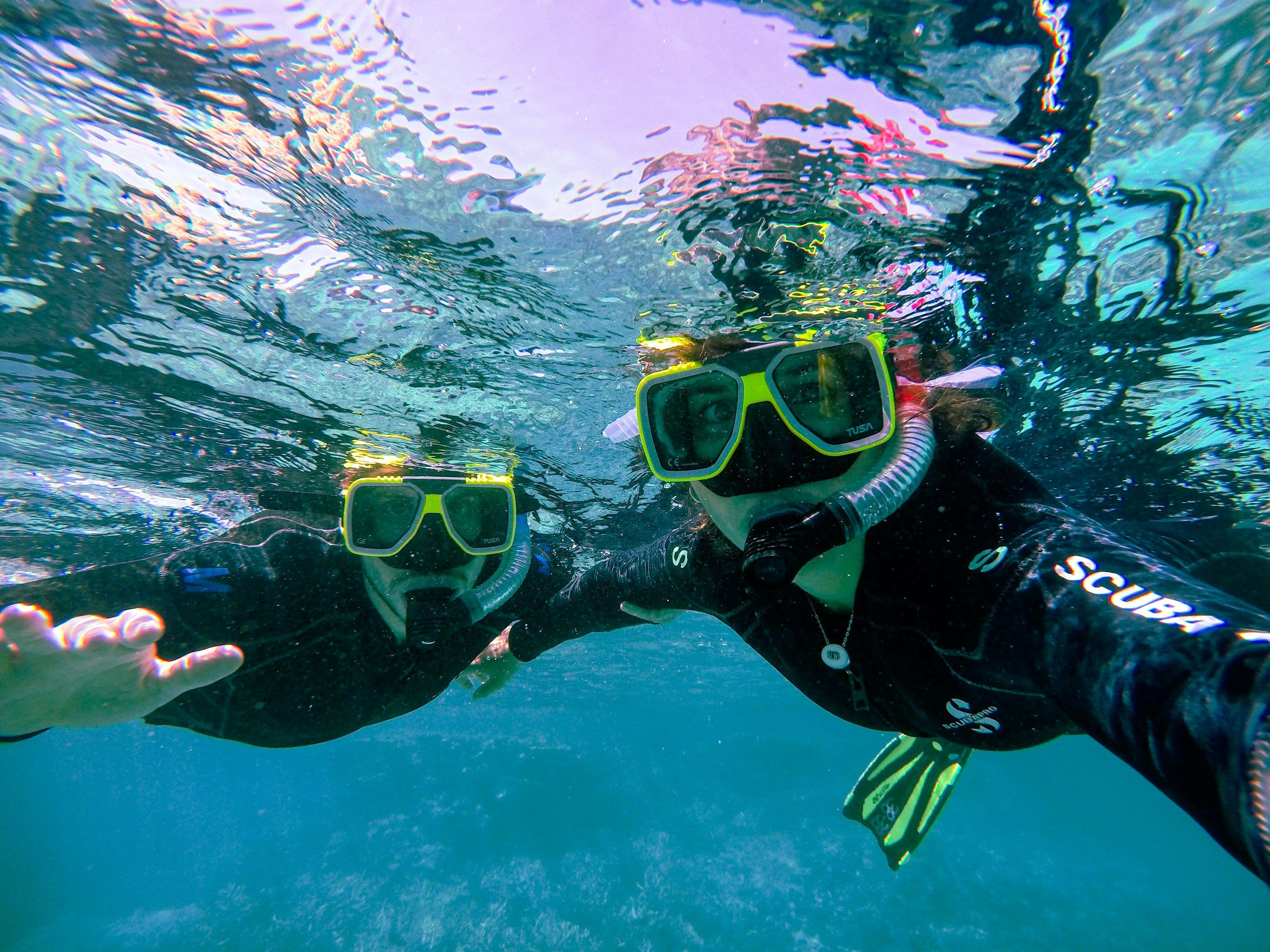 Shark Dive Montauk