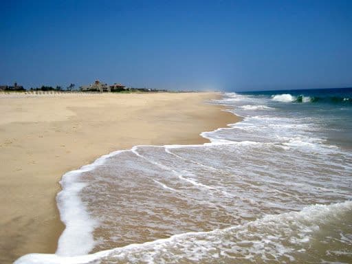 Coopers Beach