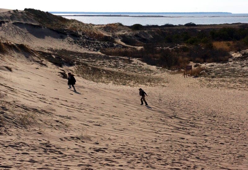Walking Dunes