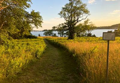 Top Must-Do Activity in Shelter Island