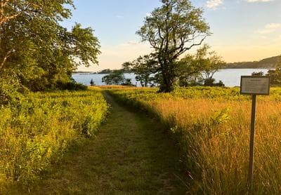 Top Must-Do Activity in Shelter Island