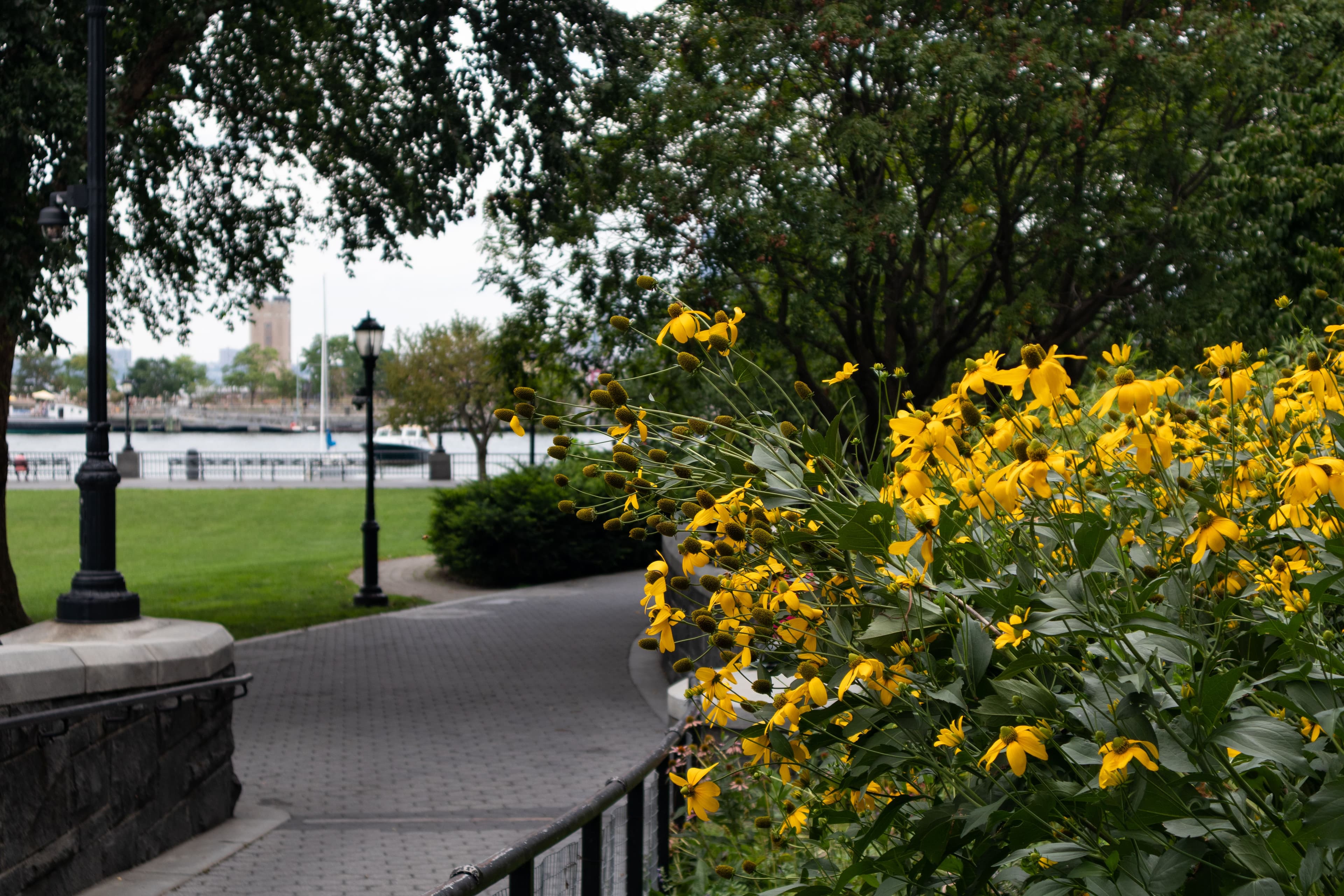 Rockefeller Park