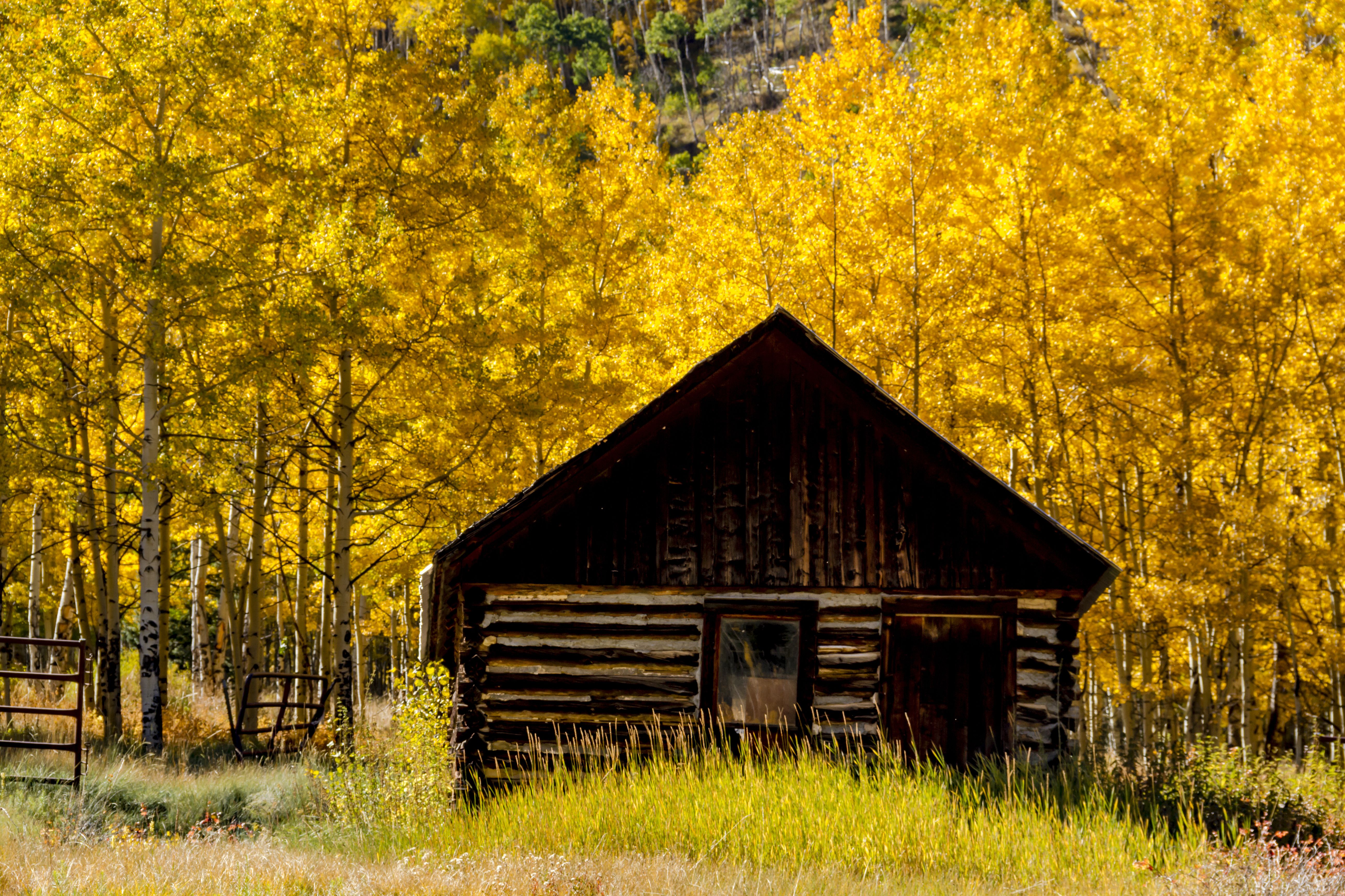 Ashcroft Ghost Town