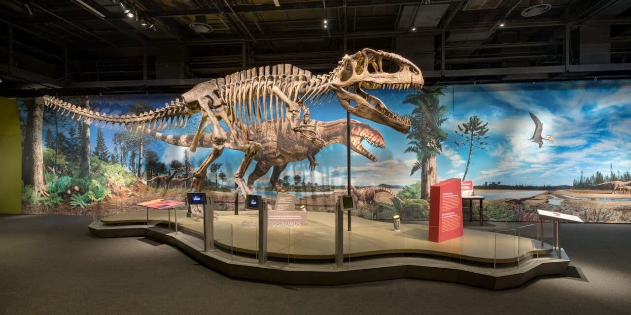 Frost Science Museum