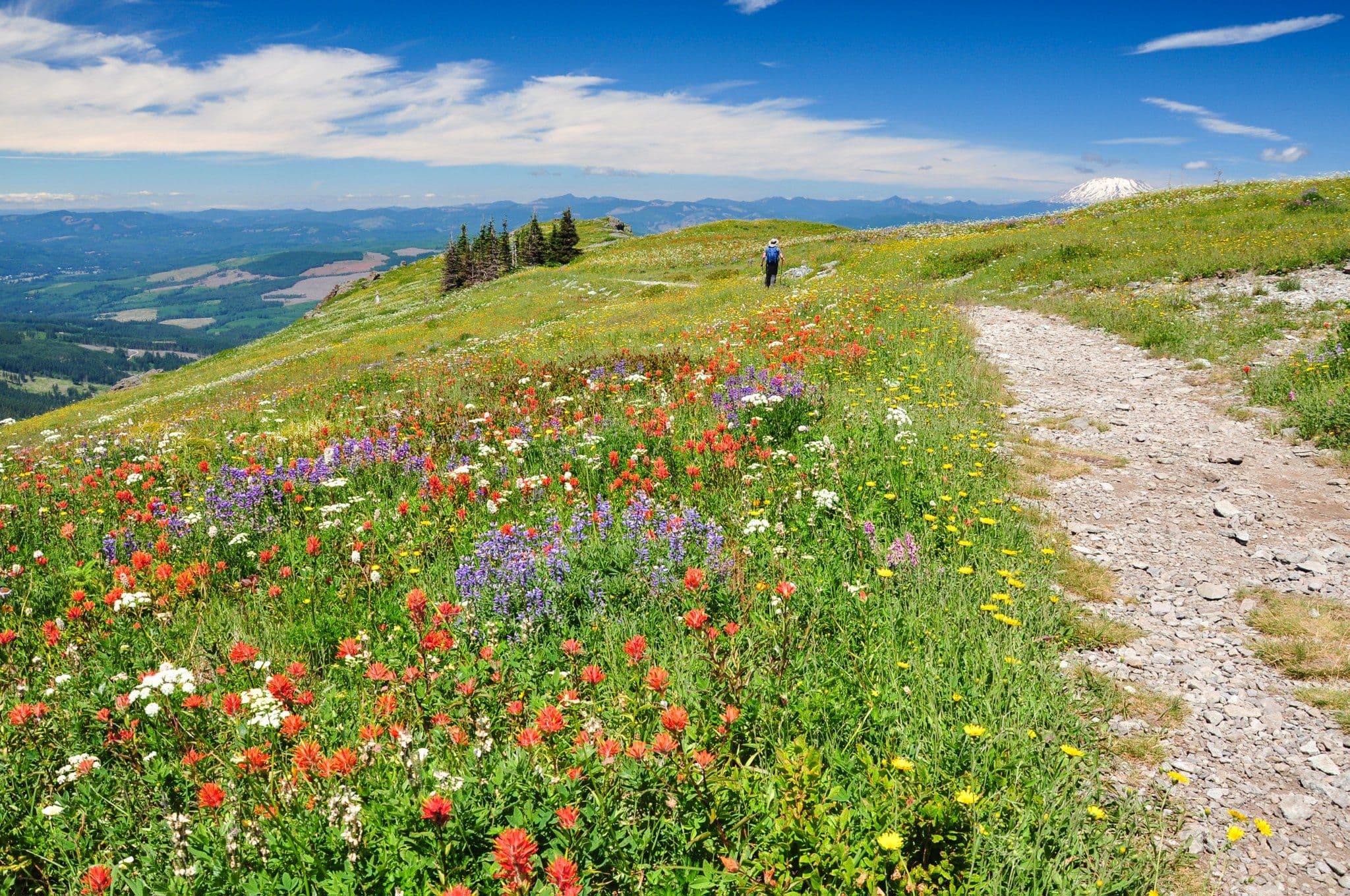 Rim Trail