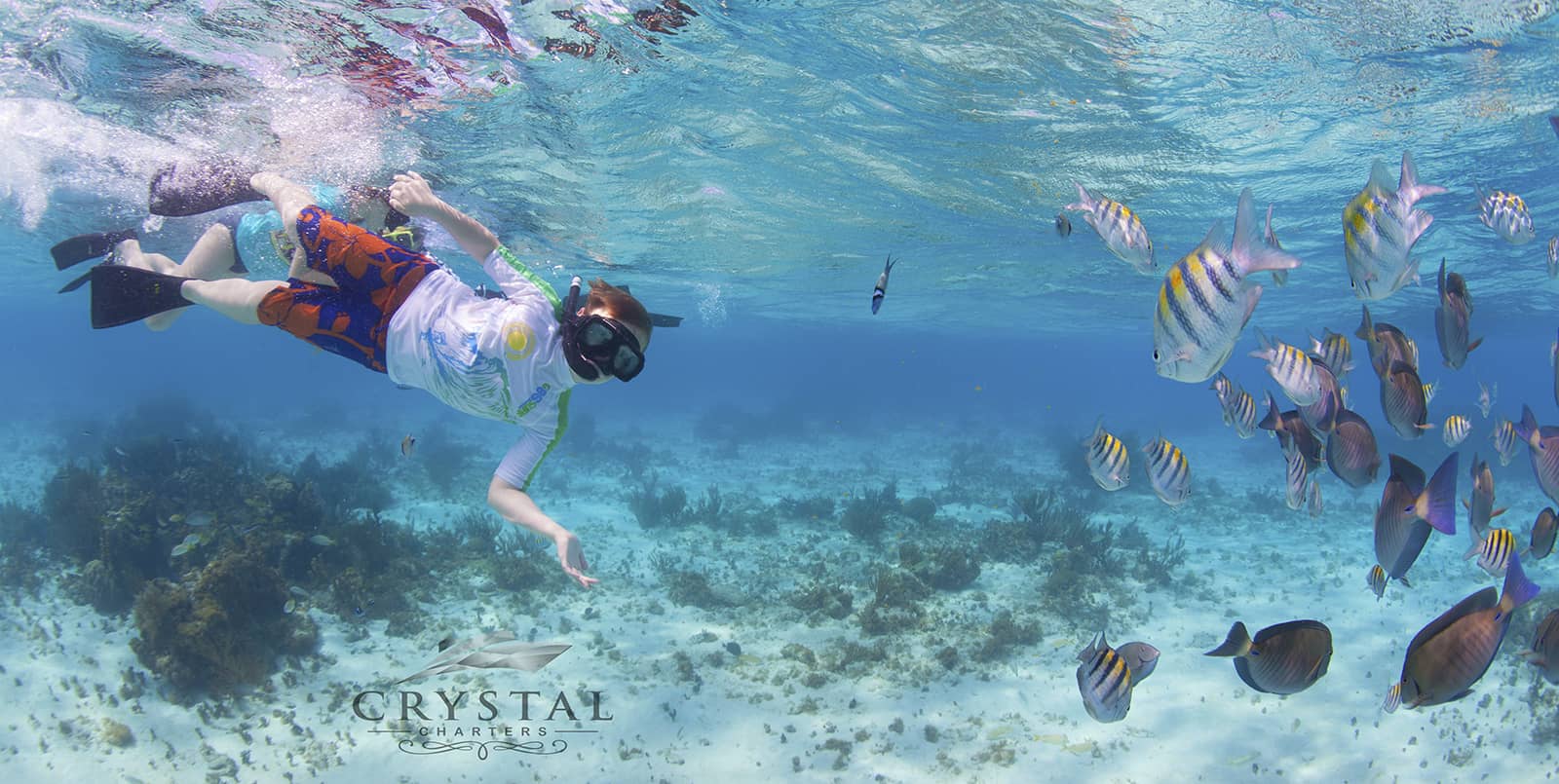 Snorkeling adventure