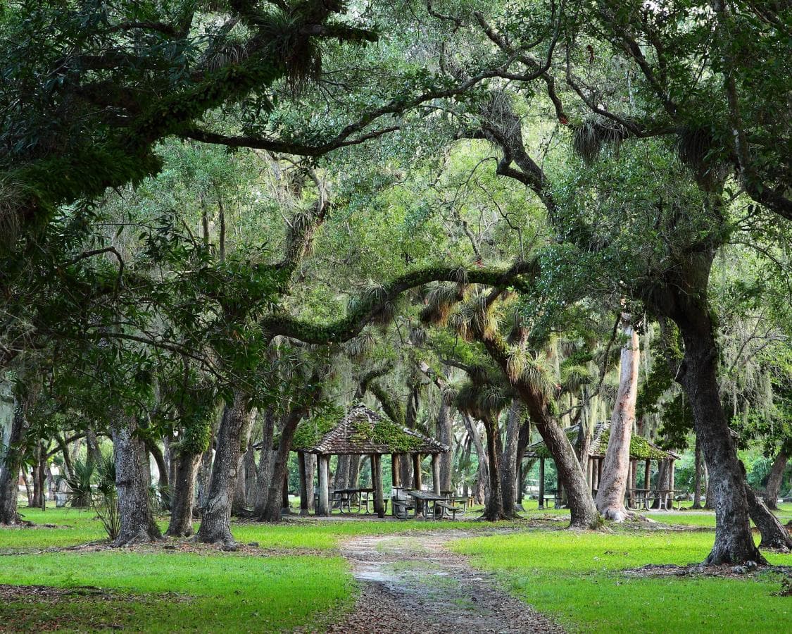 Matheson Hammock Park